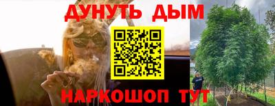 ПСИЛОЦИБИНОВЫЕ ГРИБЫ Балахна