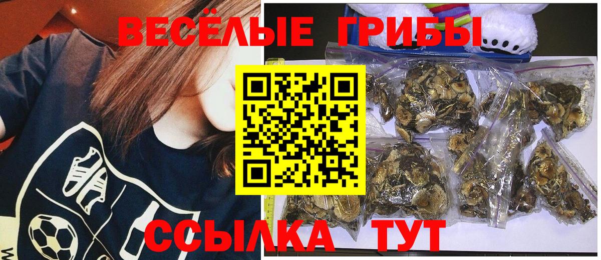 Псилоцибиновые грибы Magic Shrooms  Галлюциногенные грибы MAGIC MUSHROOMS  Выборг  Вход с VPN 