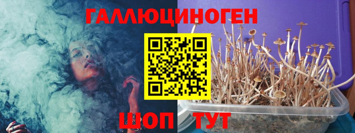 Галлюциногенные грибы мухоморы Выборг