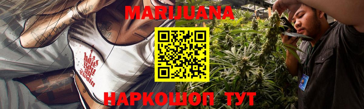 МАРИХУАНА Ganja  Конопля планчик  Канабис тримм  Выборг 
